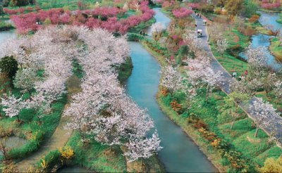 ​上海十大森林公园排名榜（上海最大的森林公园）