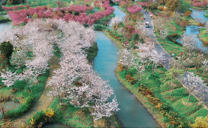 上海有什么不错的公园值得一去的(上海十大森林公园排名)