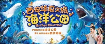 ​西安华夏文旅海洋公园，开启一段奇妙旅程