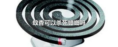 ​蚊香可以杀死蟑螂吗