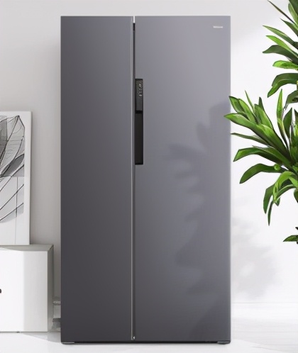 冰箱排名前十的品牌(冰箱质量排行榜前10名)