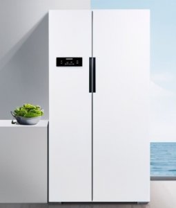 ​冰箱排名前十的品牌（冰箱质量排行榜前10名）