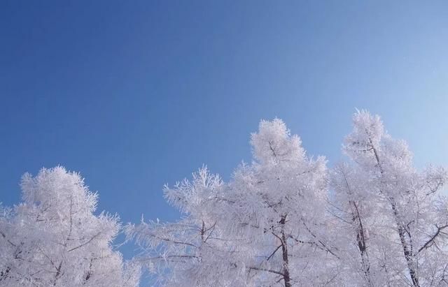 东三省，东北的天气一年四季都很冷吗？零下几十度怎么御寒？图3