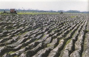 东三省，东北的天气一年四季都很冷吗？零下几十度怎么御寒？图8