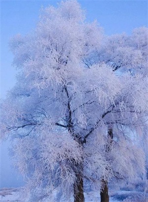 东三省，东北的天气一年四季都很冷吗？零下几十度怎么御寒？图2