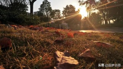 ​国内最好的10所专科大学推荐