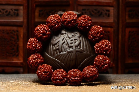 金刚菩提四瓣好还是五瓣好（金刚菩提几瓣的最好）