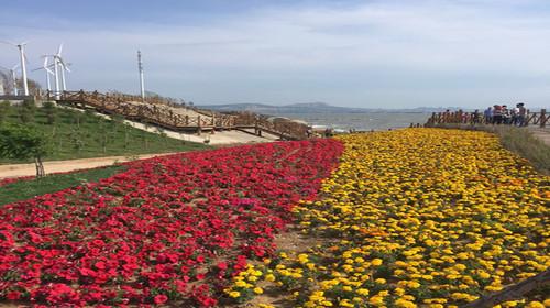 4.天海园、仙人岛旅游度假区（原三亚市）