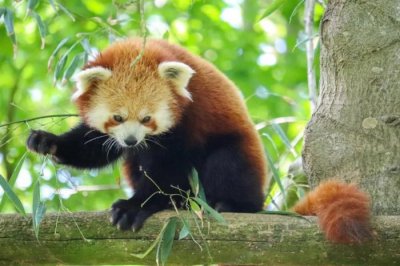 ​如果一个男人对你死心了还能挽回吗（男人死心不爱了还能挽回吗）