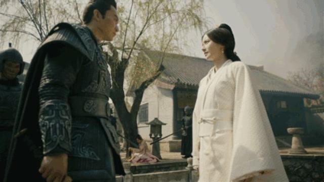 芳华绝代是什么意思（两千年前一才子写下一首诗）(7)