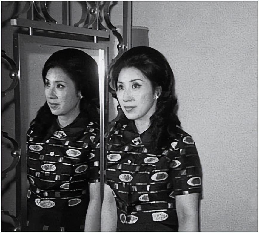 孟良崮战役真相(孟良崮战役打得有多惨)-