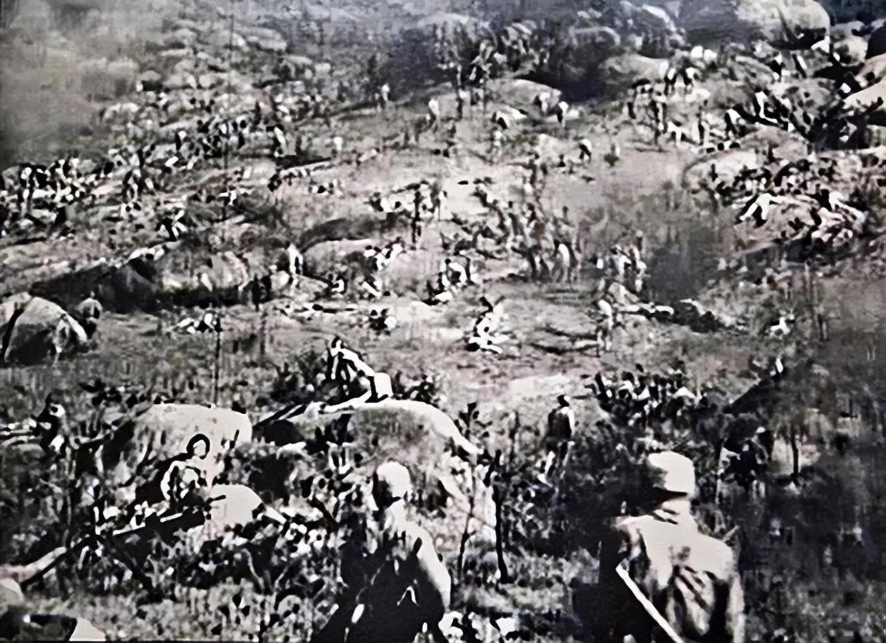 孟良崮战役真相(孟良崮战役打得有多惨)-