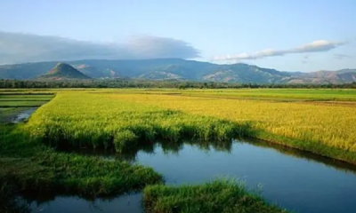 ​五常理事国是哪五国,五常指的是什么国家代表的小动物