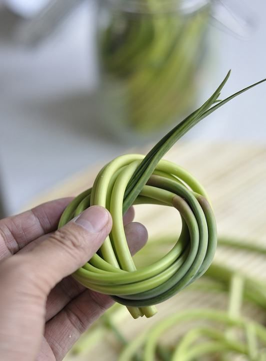 蒜苔怎么腌制才好吃,蒜苔怎么腌制才好吃图13
