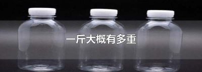 ​一斤有多重,一斤大概有多重