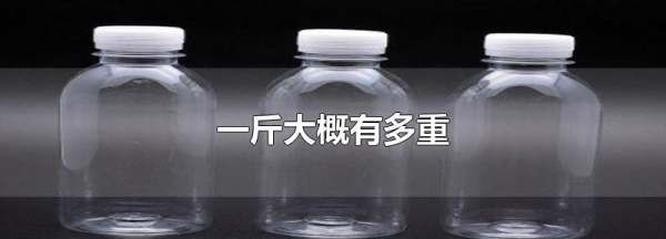 一斤有多重,一斤大概有多重图1
