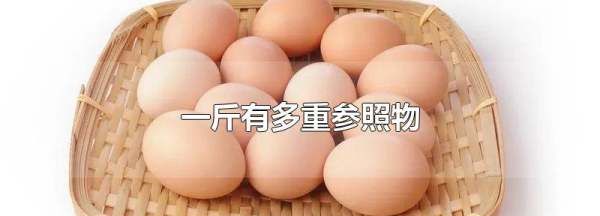 一斤有多重,一斤大概有多重图4