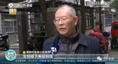 去年的树说课稿_去年的树说课稿范文部编版-第1张图片-