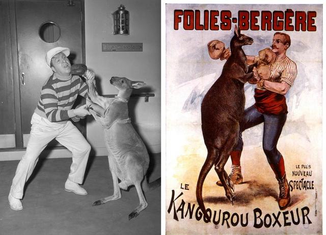 牧羊犬扑咬（袋鼠打趴拳手让女教练装死）(1)