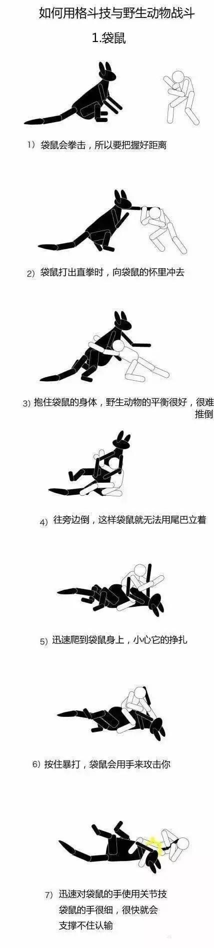 牧羊犬扑咬（袋鼠打趴拳手让女教练装死）(26)