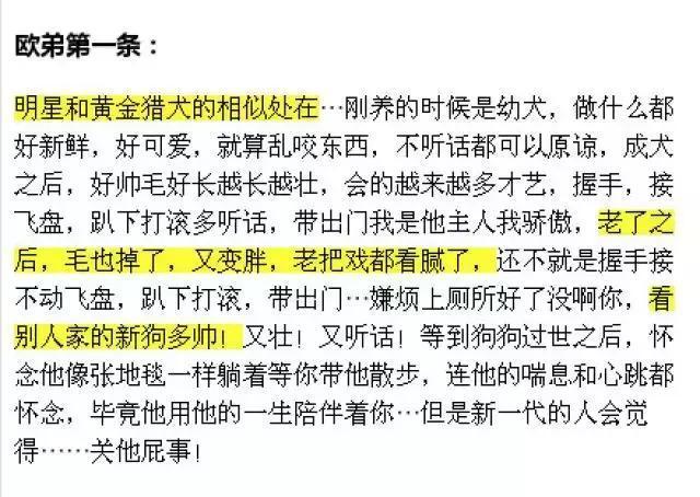 欧弟有多厉害（欧弟42岁糊成这样）(19)