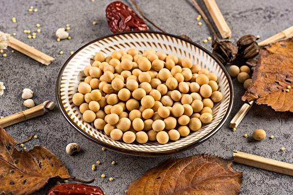 气血不足可以吃炒黄豆吗 气血不足吃什么好