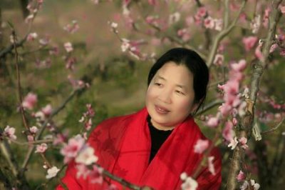 ​人面桃花别样红诗