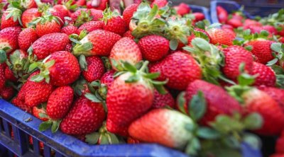 ​武汉街头，价格大降！每斤便宜了10多元