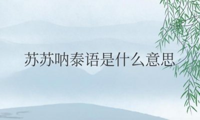 ​苏苏呐泰语是什么意思？是指加油的含义吗？