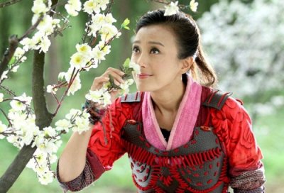 ​历史上有樊梨花吗，大唐女将樊梨花的故事