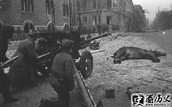 柏林战役图片