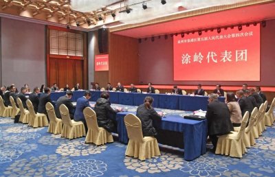 ​泉港区委主要领导参加人大代表团分组审议