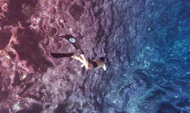 人鱼夫妇水下秀恩爱, 钟丽缇性感身材超抢镜