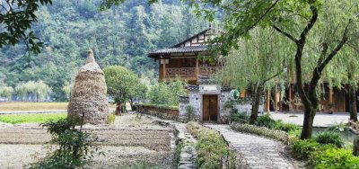 ​杨坤版《浪子回头》曾经的人生