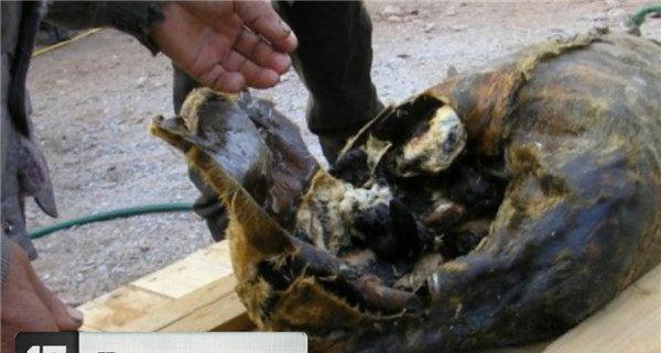 世界上最恶心恐怖的20种食物, 你吃过几种?