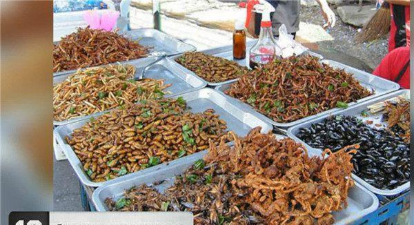 世界上最恶心恐怖的20种食物, 你吃过几种?