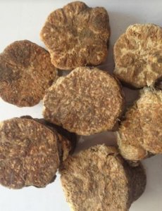 ​中草药阿魏在冬季垂钓的作用。钓鱼大爷三款经典配方分享钓友。