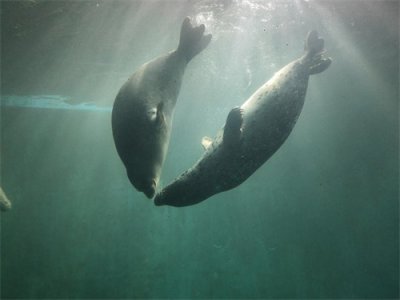 ​夫妻能不能相伴到老，其实上天早就注定了，真的不是迷信