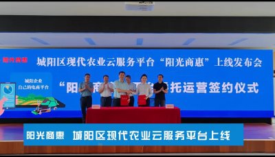 ​打造现代农业云平台 城阳区“阳光商惠”平台上线