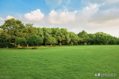 ​物腐虫生·苏轼