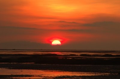 ​什么是亮剑精神？