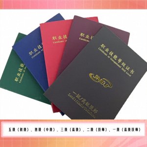 ​喜讯！职业技能等级证书可申请技能补贴