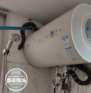 ​赣州：与蛇共厕！2米长“巨蛇”盘踞卫生间，还不时吐着信子