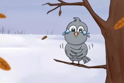 ​传说中的小鸟——寒号鸟