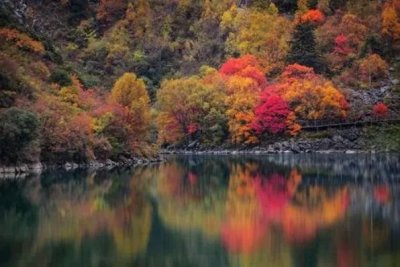 ​古诗文赏析：《天净沙·秋》（元）白朴