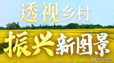 ​乡村振兴包括什么？