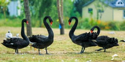 ​走进双龙湖湿地 感受原生态之美