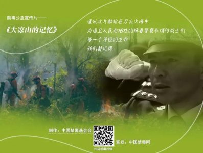 ​6部禁毒宣传片，了解一下！