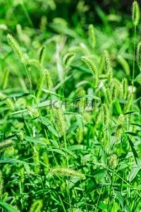 ​人的生存是共性与个性的结合体