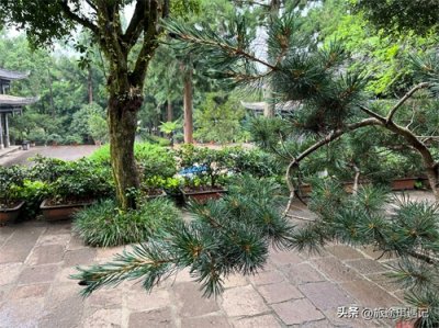 ​中国最有骨气的城市，至今跪着四个日本人，想带走先答应三个条件